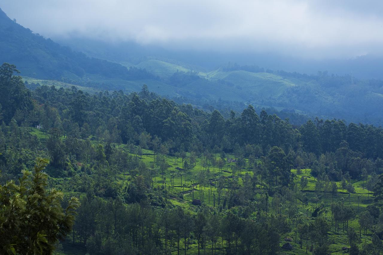 Mount View Munnar Ξενοδοχείο Εξωτερικό φωτογραφία